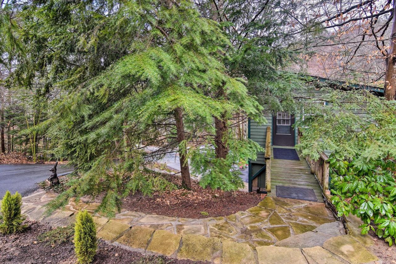 Appalachian Mountain Retreat 6 Mi To Asheville! المظهر الخارجي الصورة