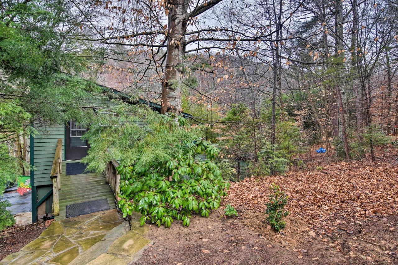 Appalachian Mountain Retreat 6 Mi To Asheville! المظهر الخارجي الصورة